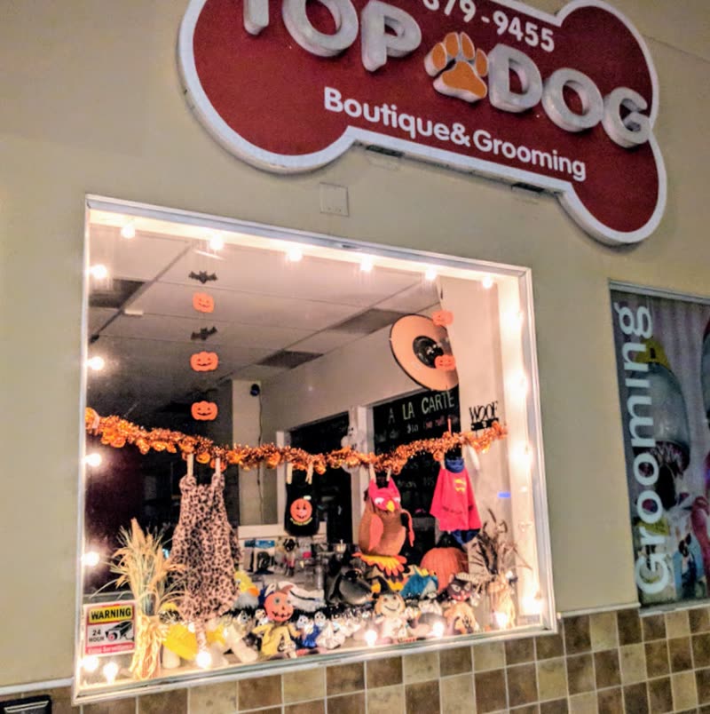 The Top Dog Boutique & Grooming shop front with an autumn window display of pumpkins, hay and pet apparel