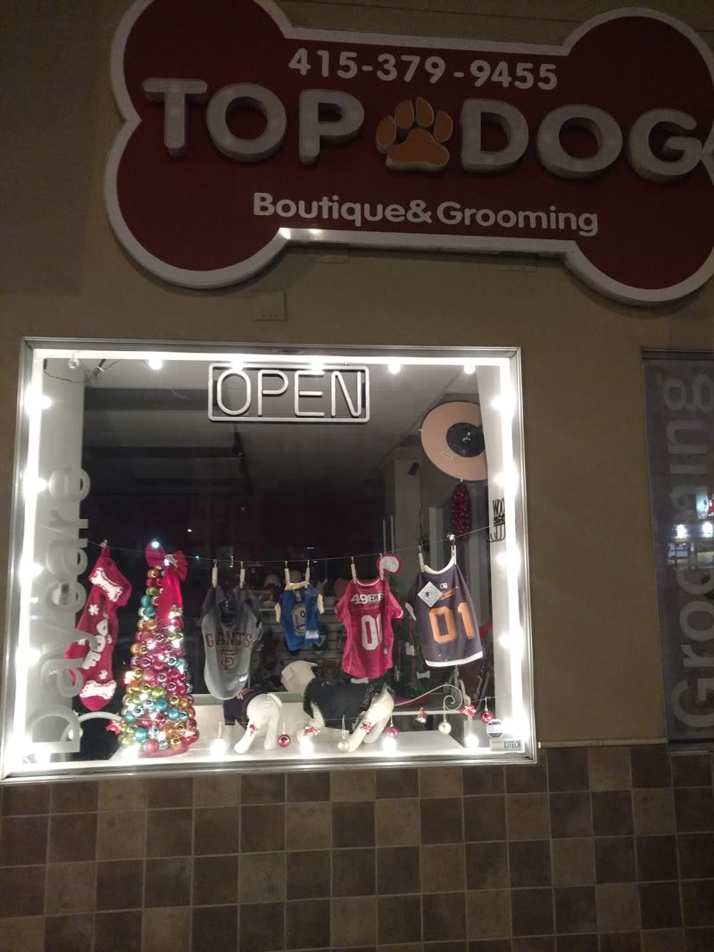 The shop front at Christmas with an OPEN neon in the window and holiday dog outfits on display